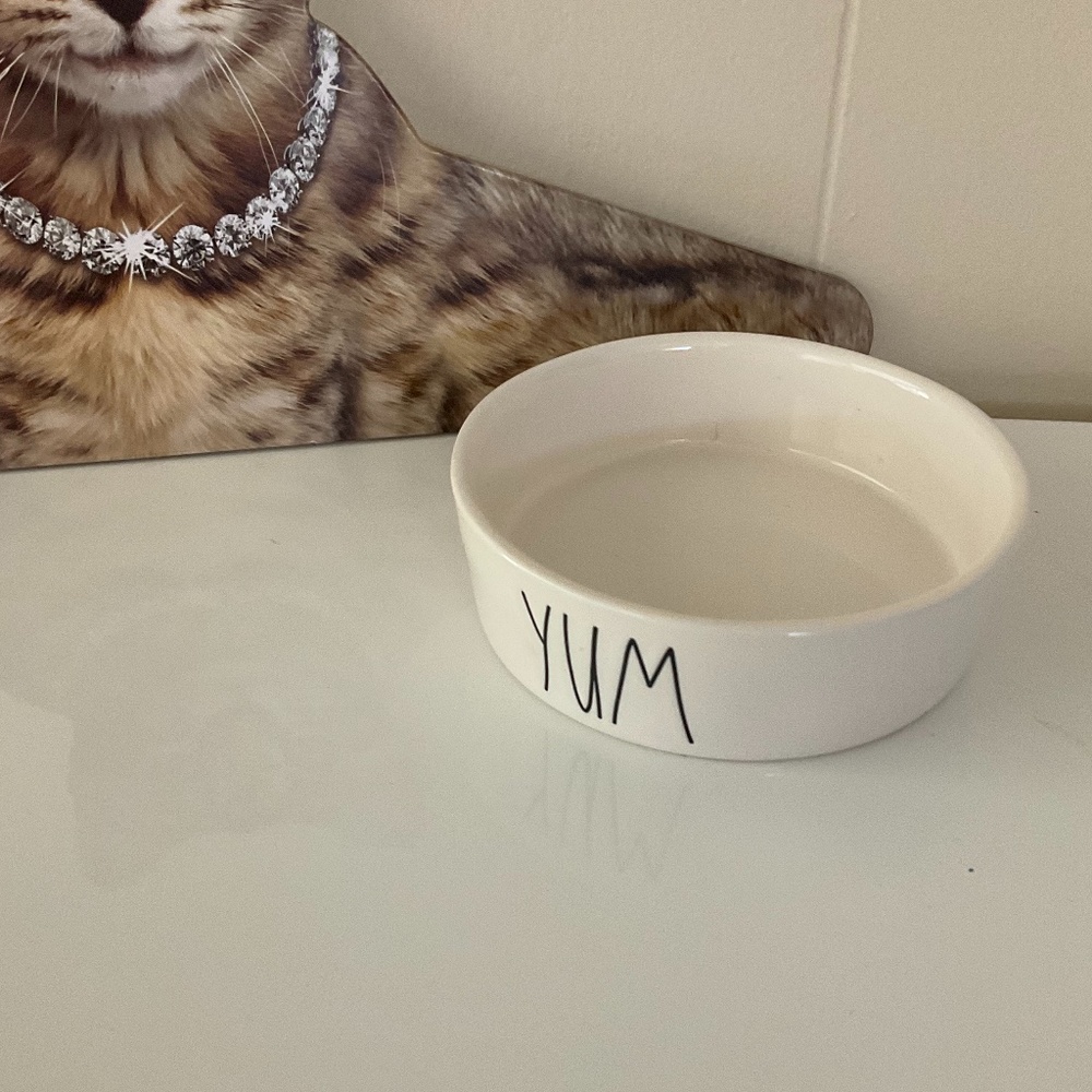 New Rae Dunn “yum” pet feeding bowl